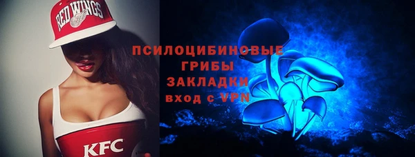 МДПВ Волоколамск