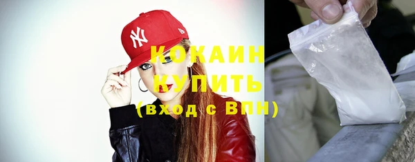 индика Волосово