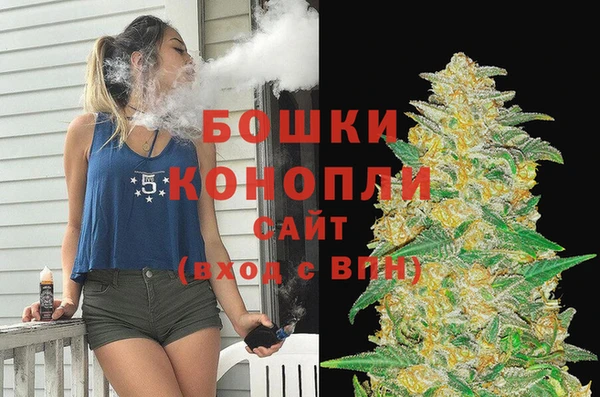 индика Волосово