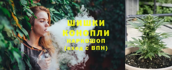 МДПВ Волоколамск