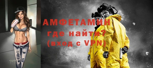 индика Волосово