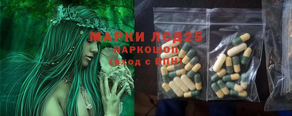 индика Волосово