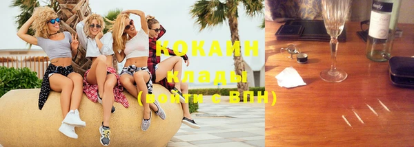 индика Волосово