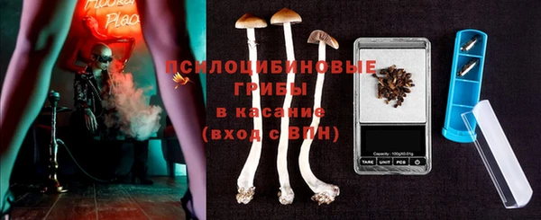 МДПВ Волоколамск