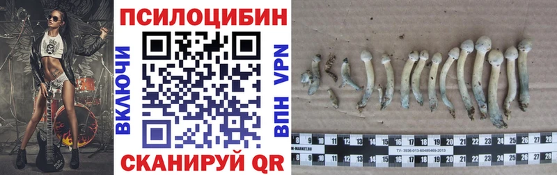 Галлюциногенные грибы ЛСД Кызыл