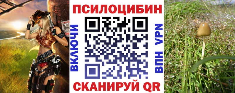 где продают наркотики  Кызыл  Галлюциногенные грибы Cubensis 